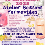 Atelier-boissons-fermentées-20251115