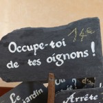 P1030455