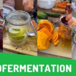 lactofermentation